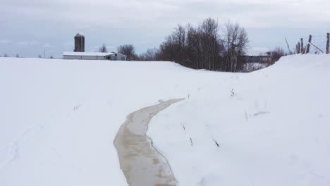 coyote tracks lining the snow along creek and ravine behind farm