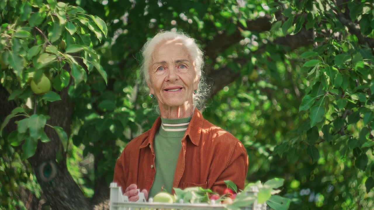Portrait of Elderly Woman Holding Crate of Freshly Harvested Fruit in Orchard