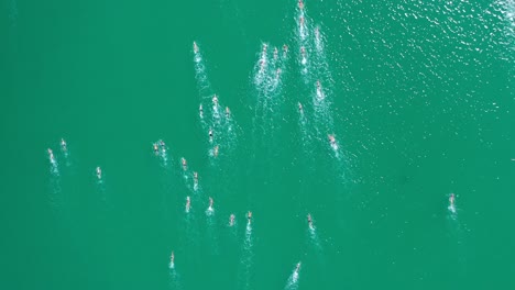 Konkurrenten,-Die-Im-Meer-Schwimmen,-Angeführt-Von-Einer-Frau