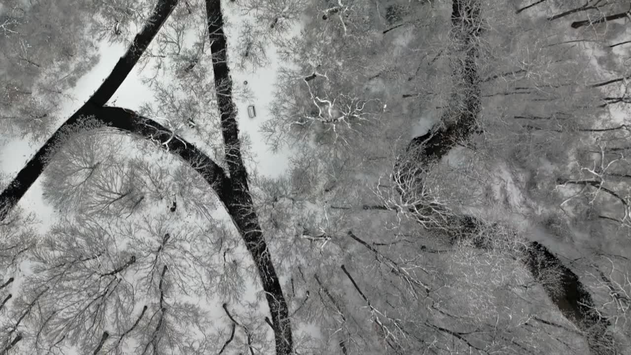 An aerial view of a snow covered park on Long Island on a cloudy winter day