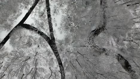 An-aerial-view-of-a-snow-covered-park-on-Long-Island-on-a-cloudy-winter-day