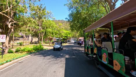 y visitantes del tranvía explorando el paisaje del zoológico