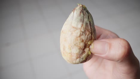 hand removes pit from ripe cut avocado fruit then put it back, close up