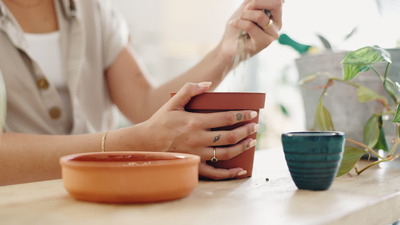 mujer plantando una pequeña planta