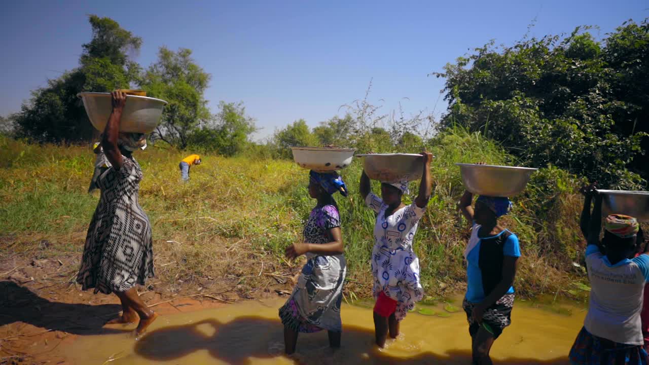 Women collecting water from a muddy pond in a rural African community