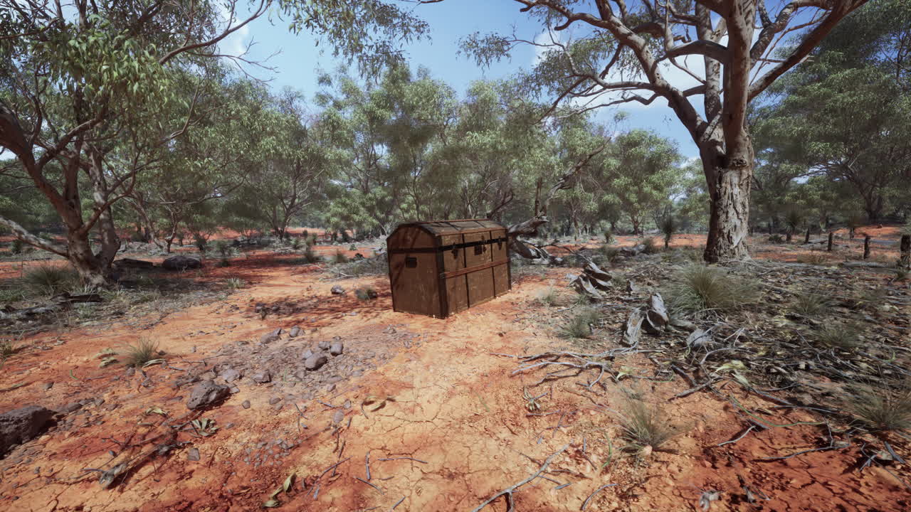 viejo cofre del tesoro en un bosque desértico