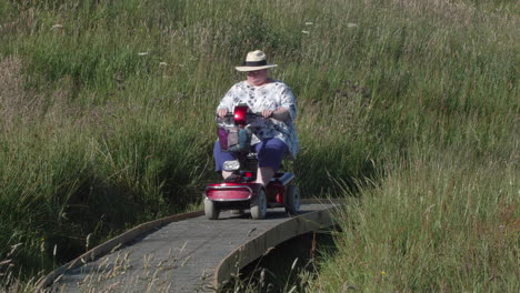 Mujeres-En-Scooter-De-Movilidad-Moviéndose-A-Lo-Largo-Del-Paseo-Marítimo-Disfrutando-Del-Prado-De-Flores-Silvestres