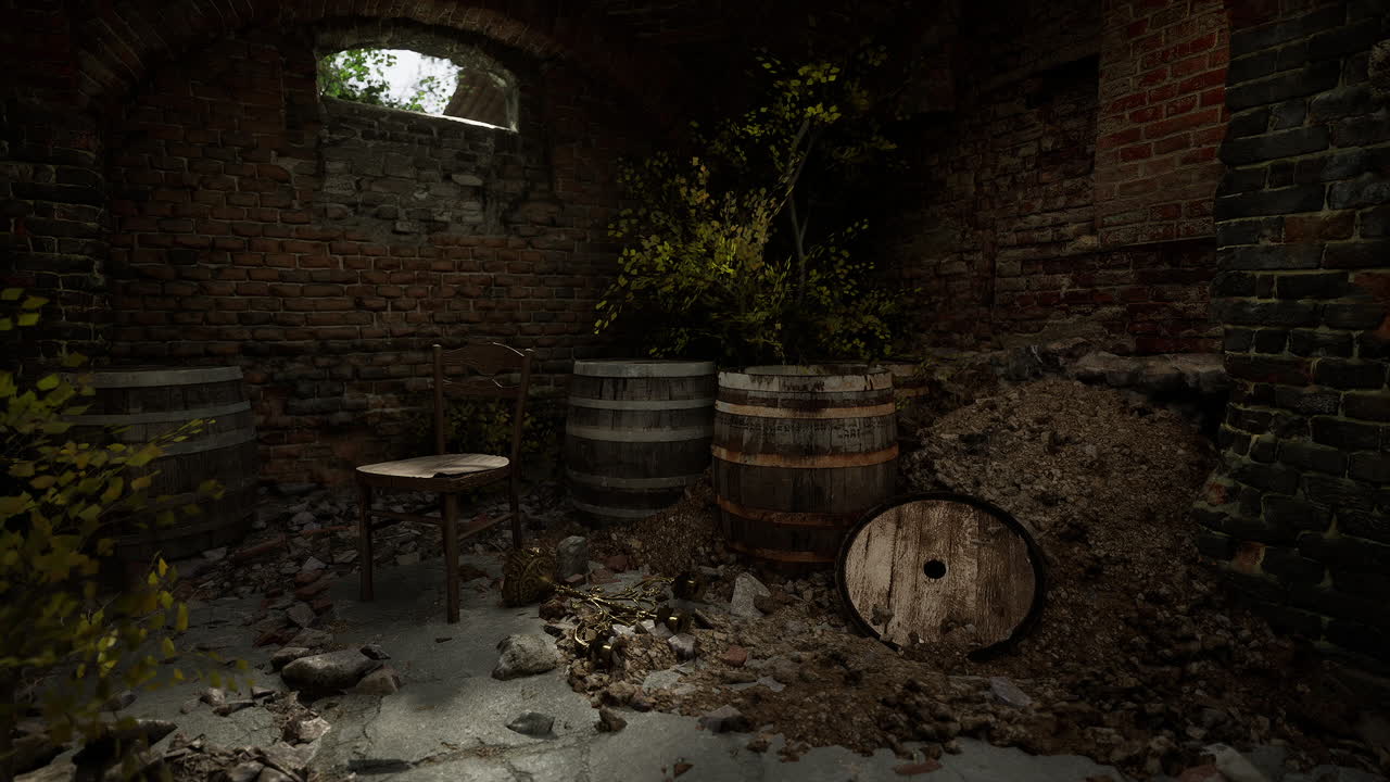 An Abandoned Basement Cellar with Wine Barrels and a Chair