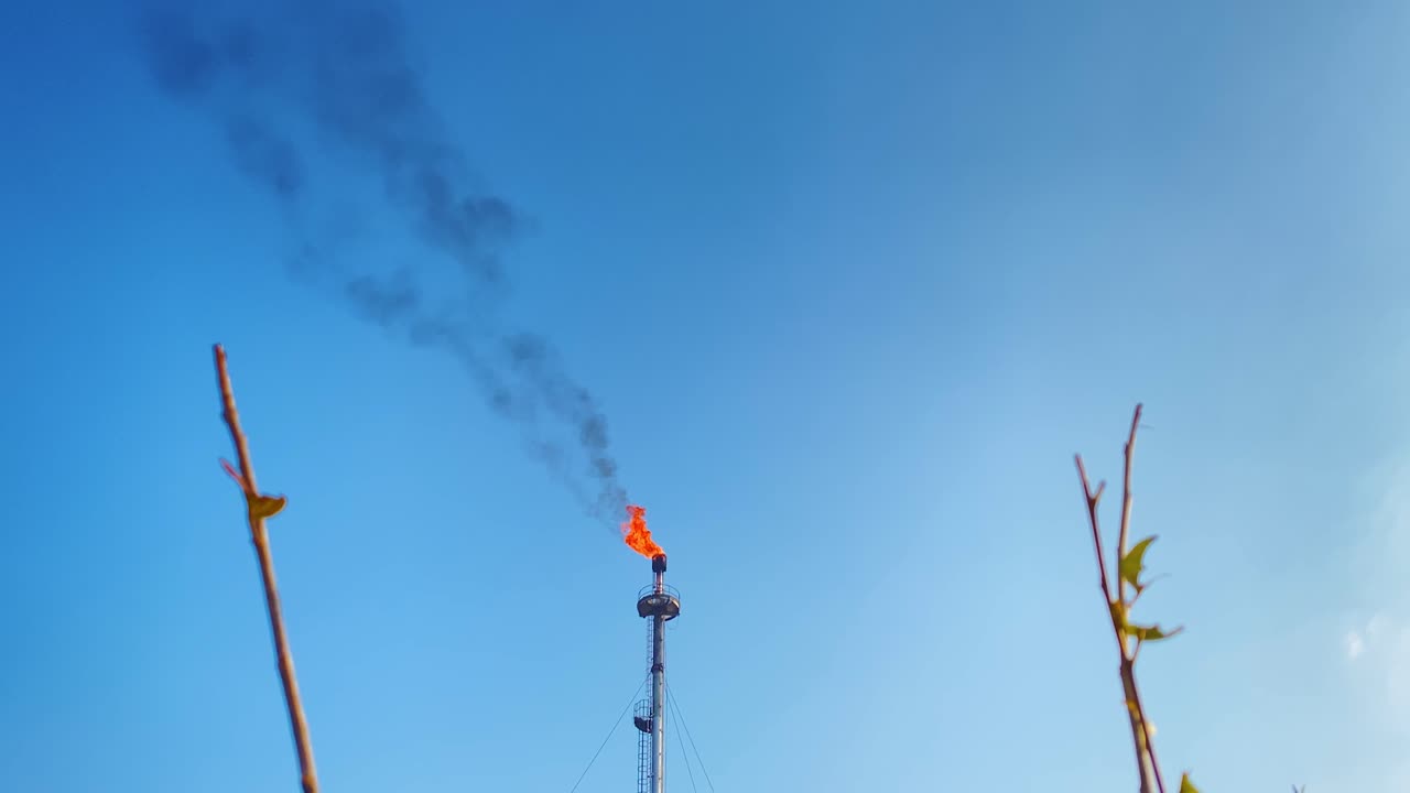 자연과 산업 개념, 불타는 가스 플레어와 나뭇가지가 있는 굴뚝