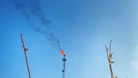 Nature-and-industry-concept,-burning-Gas-flare-and-smokestack-with-branches