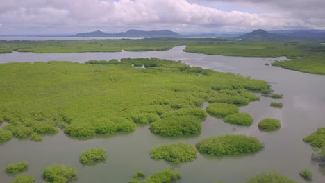 drone shot of the beautiful morass' in boca chica, panama