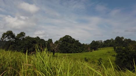 Landschaft,-Blauer-Himmel,-Sich-Bewegende-Wolken,-Menschen-Natur-Zu-Fuß-In-Der-Ferne