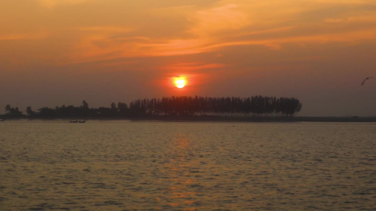 Birds Flying On A Golden Hour Sunset In St. Martin's Island In Bay Of Bengal, Bangladesh. POV, wide shot