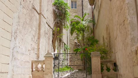 plants behind a fence of medieval architecture on a sunny day