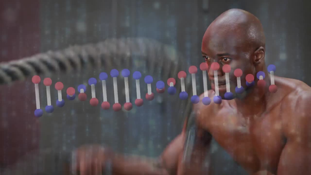 Animation of digital interface with rotating dna strand and data processing over sportsman