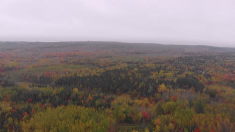 Una-Vista-De-360-Grados-De-Un-Gran-Bosque-Con-Muchos-árboles-Que-Cambian-De-Color-Debido-A-Las-Frías-Temperaturas-Exteriores.