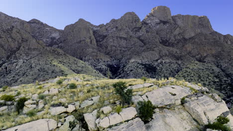 Increíble-Toma-De-Drones-De-Cactus-En-Una-Pendiente-Pronunciada