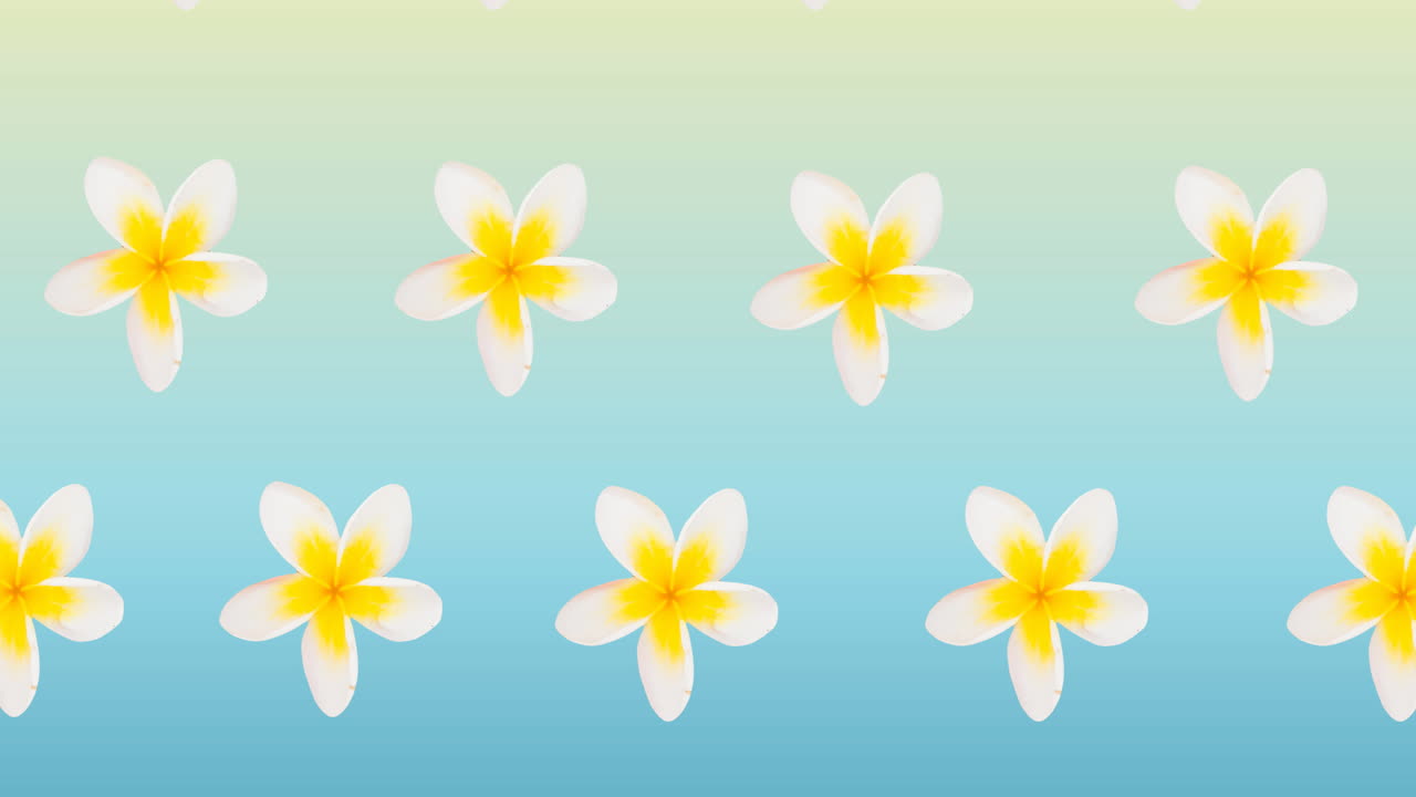 Composizione di file di fiori bianchi e gialli in movimento su sfondo blu