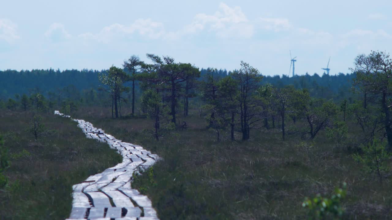 hermoso camino de pasarela de pantano vacío en dunika en un caluroso día de verano con nubes escénicas, toma amplia con olas de calor