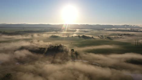 misty sunrise over farmland