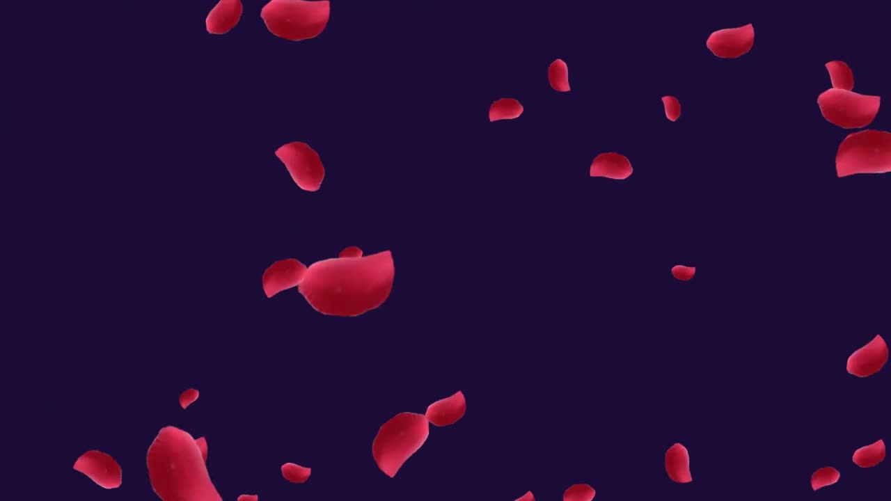 Animation of red rose petals falling on black background
