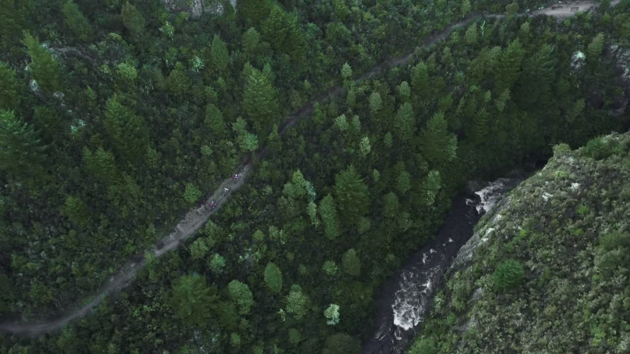 뉴질랜드의 아름다운 계곡, 푸른 숲에서 강을 따라 산악 자전거 타기