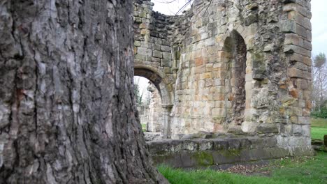 Ancient-Basingwerk-abbey-abandoned-historical-landmark-building-stone-walls-dolly-right-from-behind-tree