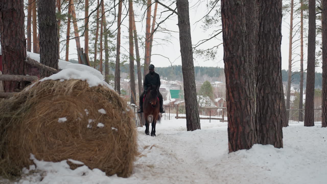 Всадник ведет лошадь мимо холодной вечнозеленой лесной сцены с видом на далекое озеро, спокойное конное путешествие по зимнему лесу с замерзшим озером и высокими соснами на заднем плане