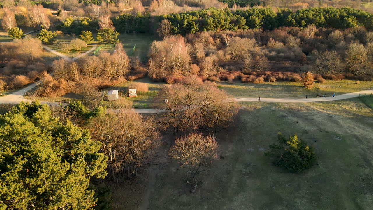 люди бегут по пешеходной дорожке парка пшиможе в окружении осенних деревьев в гданьске, польша - широкоугольный снимок с воздуха