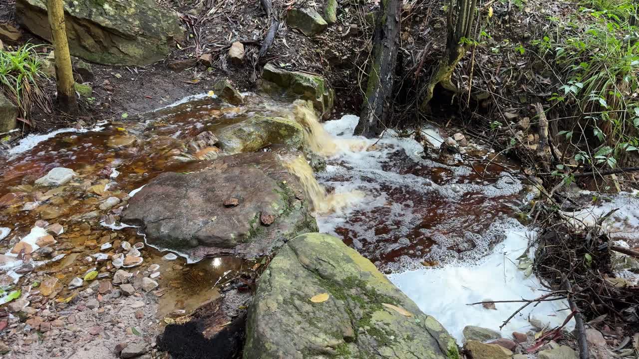 A small stream in the mountains of Cape Town, South Africa near Constantia