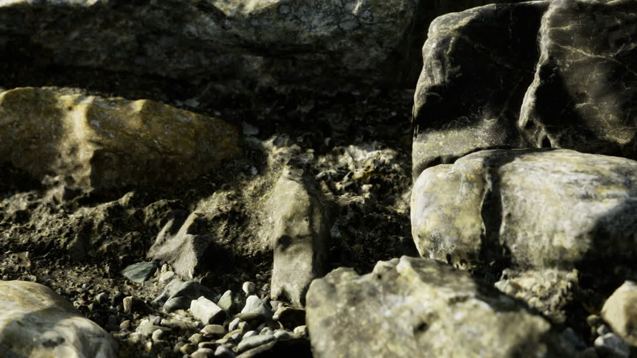 Exploring the intricate textures of weathered stones in a natural setting