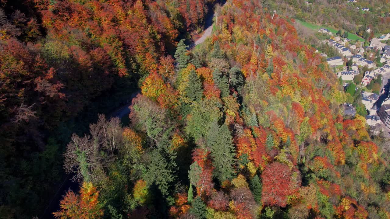 Aerial autumn foliage near Cauterets, perfect for nature and adventure