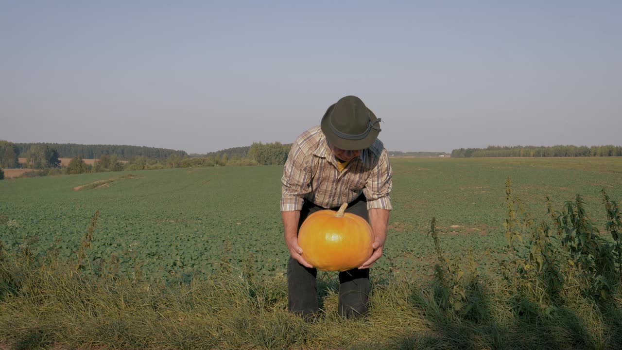 노인 농부 는 농장 의 배경 에 대하여 큰 호박 을 들고 있다