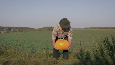 elderly farmer holds large pumpkin against background of an agricultural field