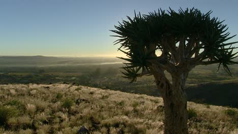 Richtersveld-Trans-Frontier-Park,-Südafrika