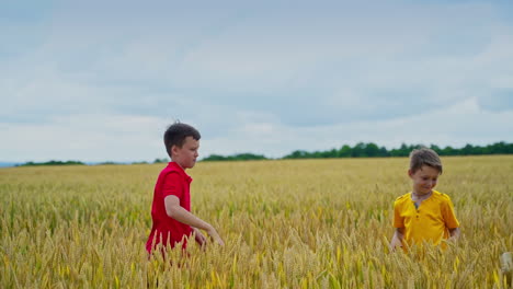 children playing on field. happiness little children relaxing outdoors