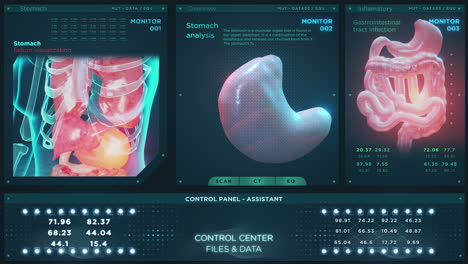análisis del estómago hud