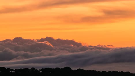 Trees-near-clouds-at-sunset-sky