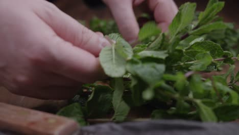 slider shot of a man plucking fresh mint in the kitchen