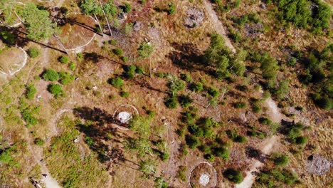 Die-Beliebten-Steinkreise-Von-Leśno,-Kreis-Chojnice-In-Nordpolen---Aus-Der-Luft