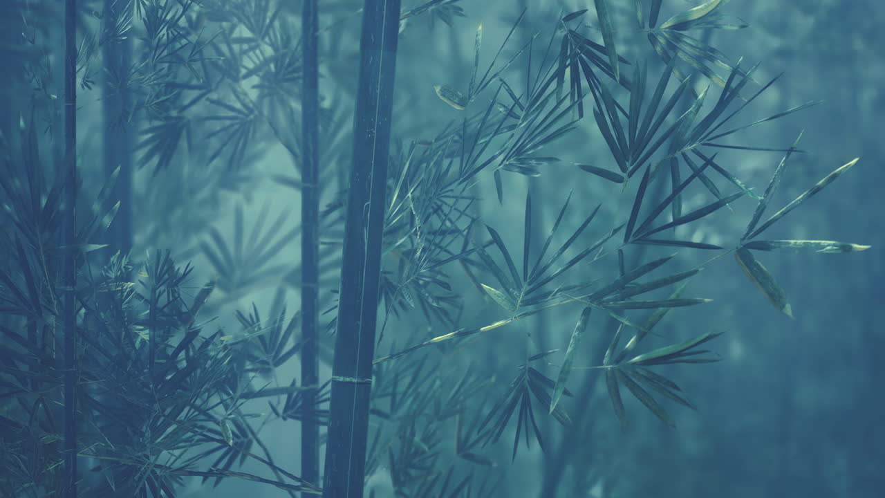 Misty forest with dense bamboo and soft light illuminating the surroundings