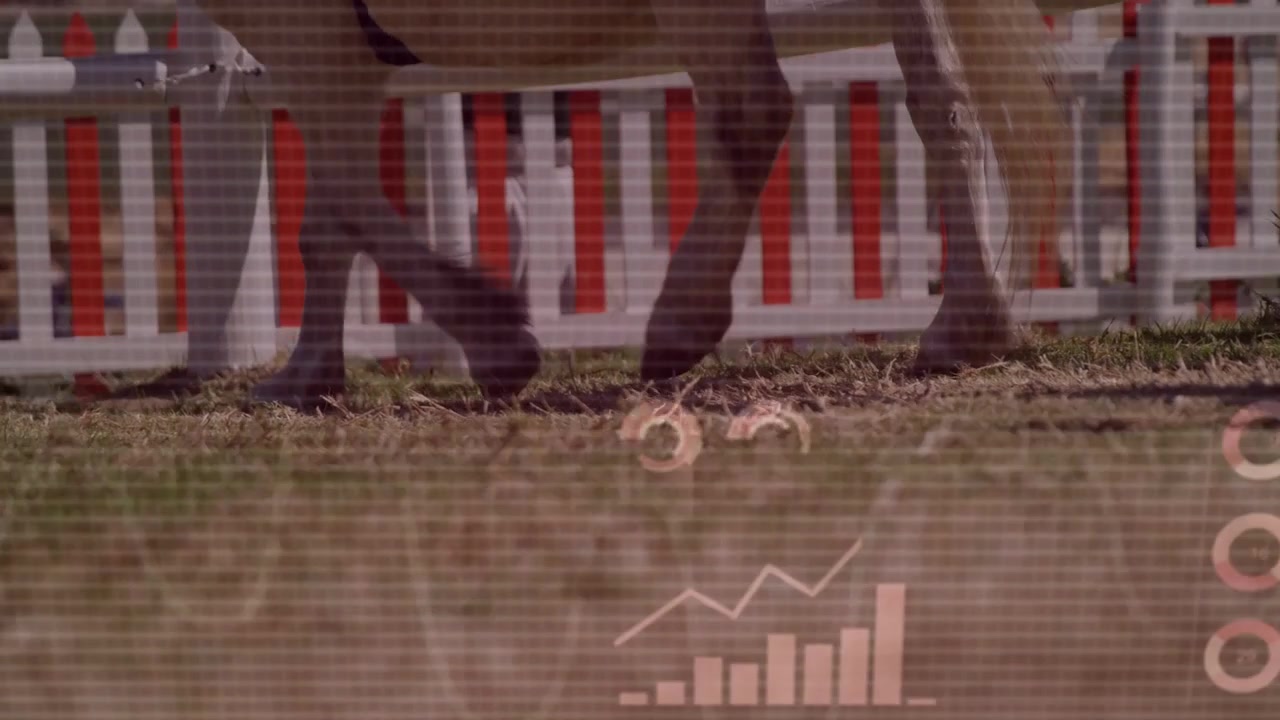 Horse hooves walking left, first hoof causing data overlay fading, charts growing to analyze motion