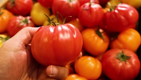 hand picking tomatoes from a market display