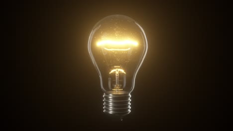 Illuminated Light Bulb