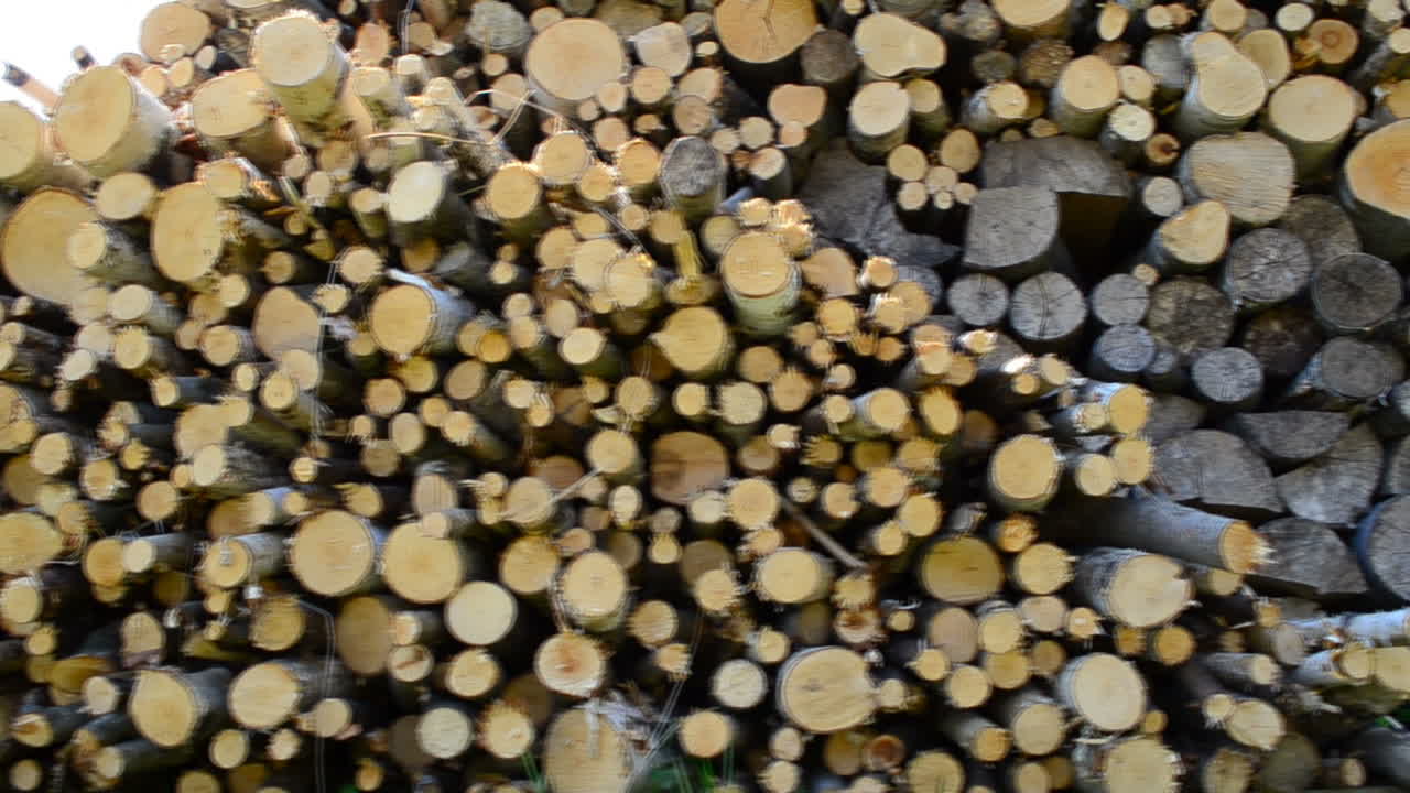 Firewood in the yard. Shooting in the village