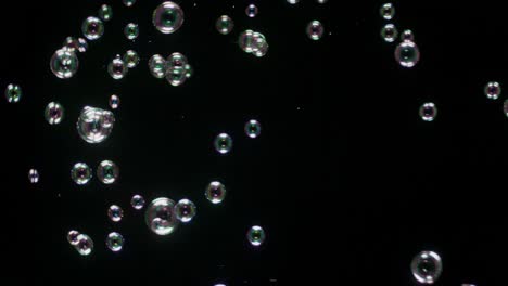 soup bubbles isolated on black background