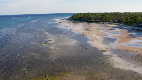 aerial flight above crystal clear, turquoise - green coastal reef waters in bohol, philippines