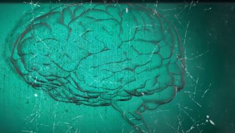 animación del cerebro con tecnología y procesamiento de datos