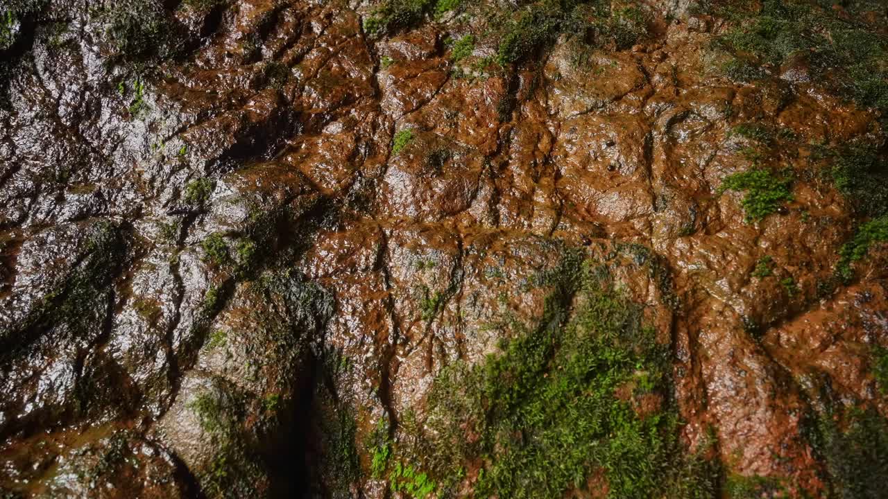 Mossy Rock Texture