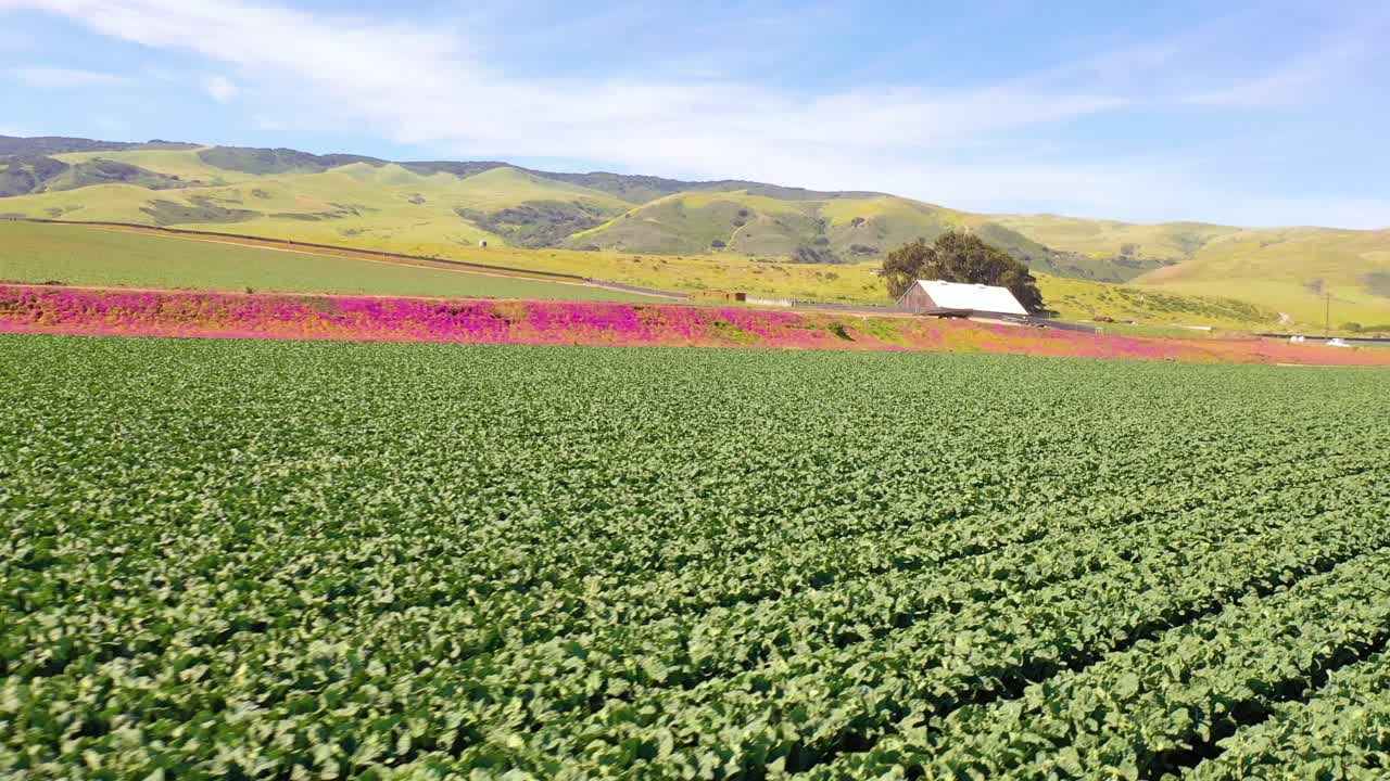 antena sobre campos de lechuga y pintoresca granja cerca de santa maria santa barbara california 1